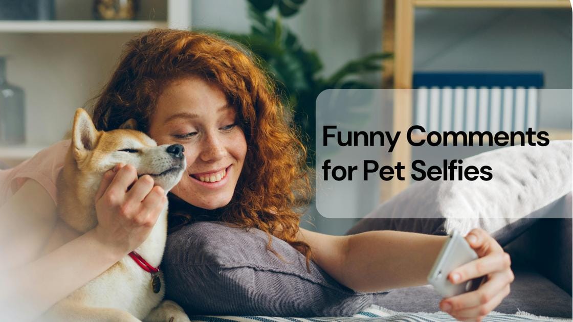 Funny comments for pet selfies