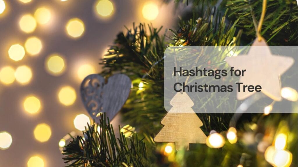 Hashtags for christmas tree