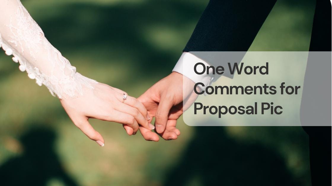 One word comments for proposal pic