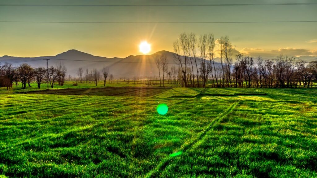 Top comments for sunrise photos