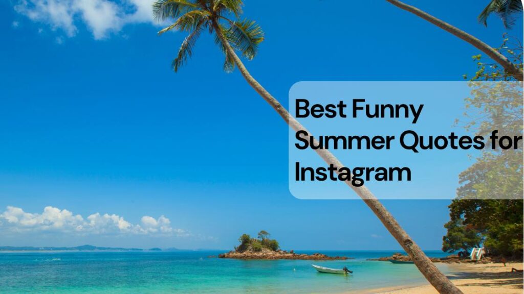 70+ Funny Summer Quotes for Instagram [Best List]