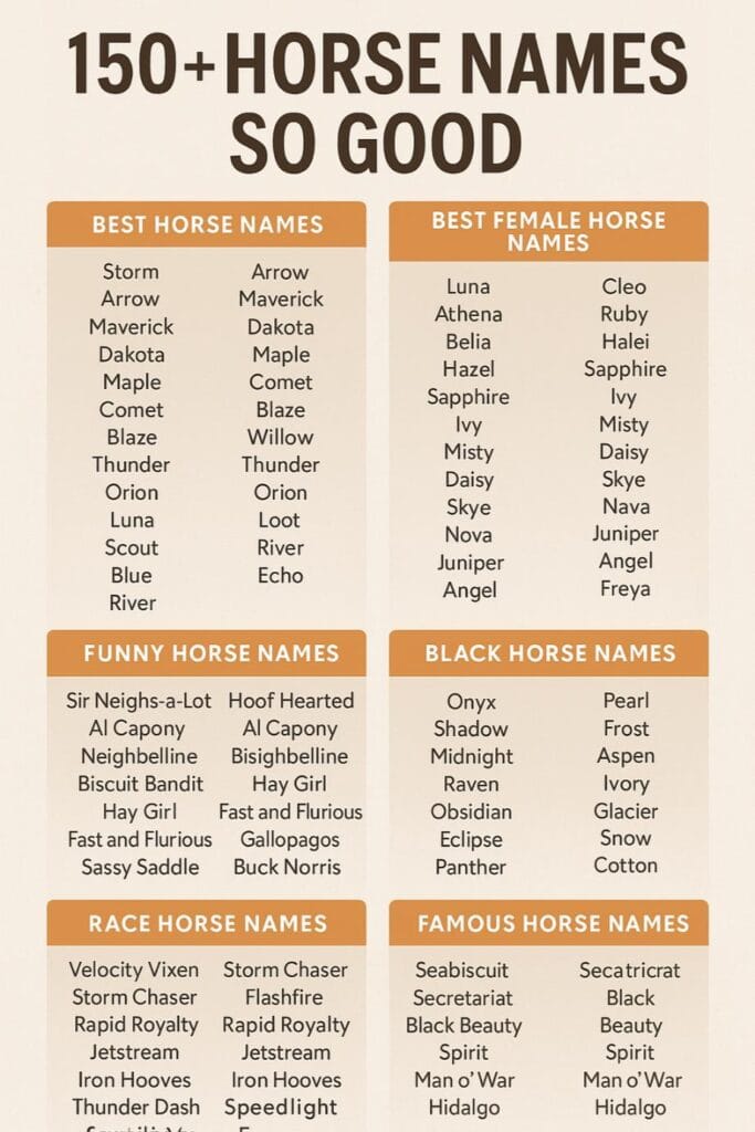 200+ best horse name ideas