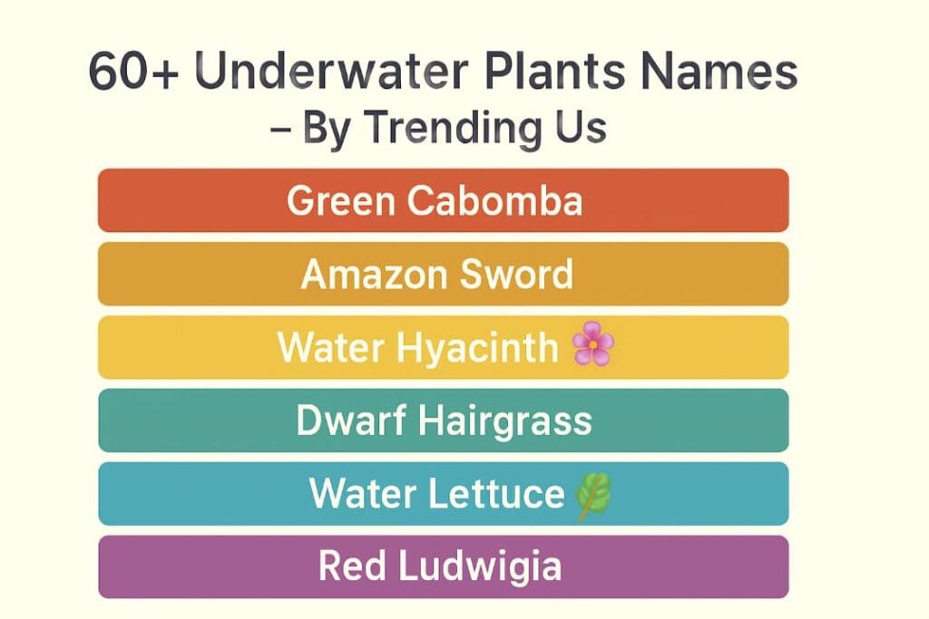 60+ underwater plants names