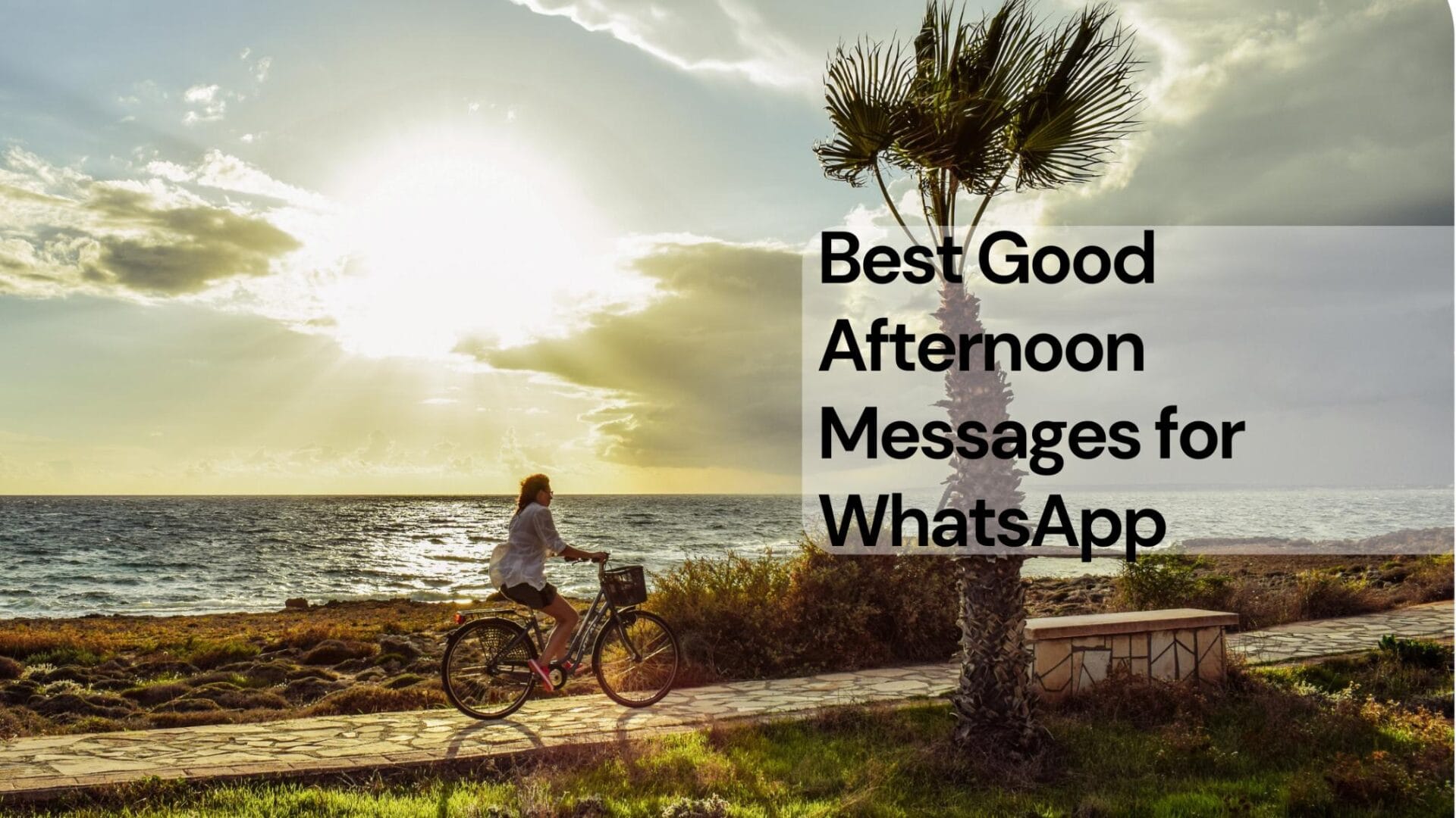 99+ Special Good Afternoon Messages for WhatsApp — Trending Us