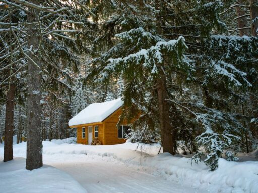 Captions for winter