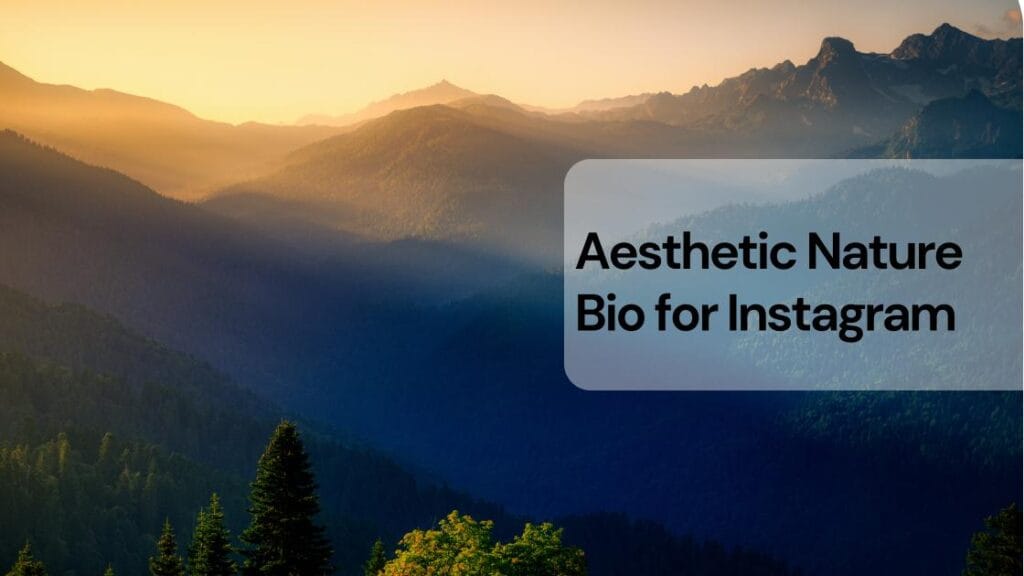 Aesthetic nature bio for instagram