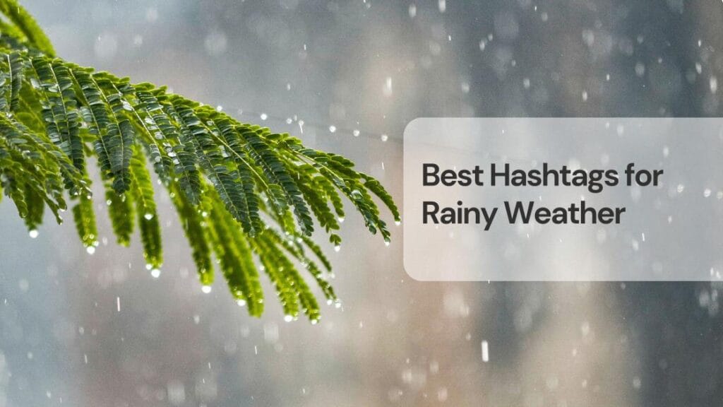 Best hashtags for rainy weather