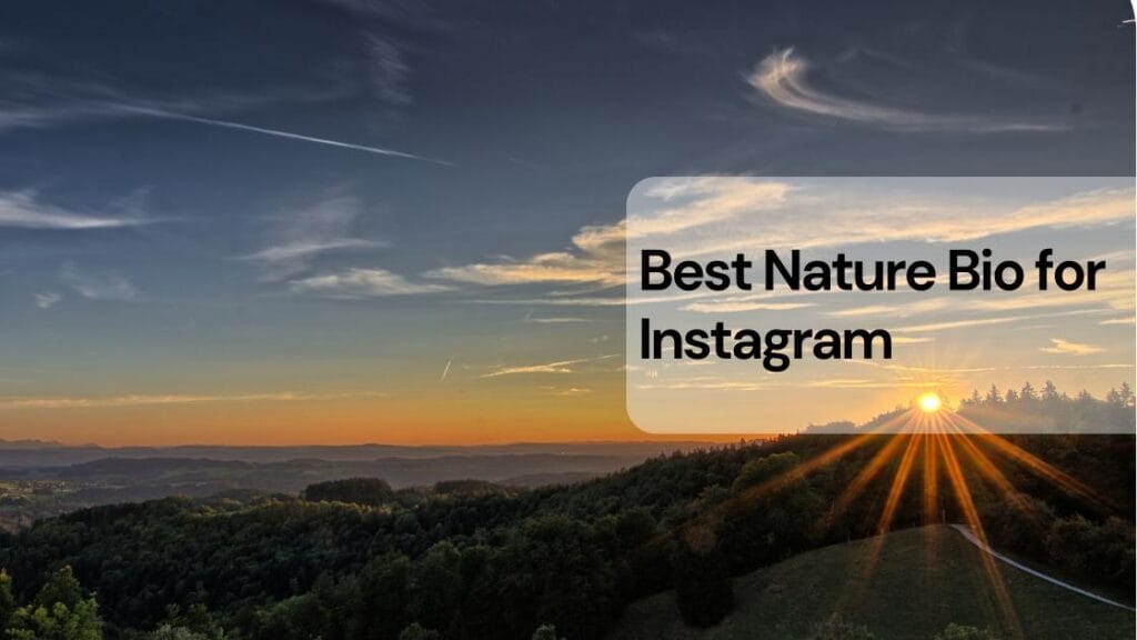 Best nature bio for instagram