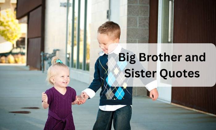 Big brother and sister quotes
