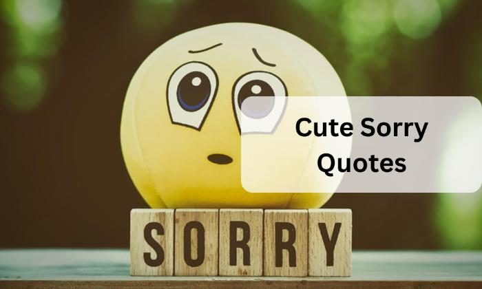 Cute sorry quotes