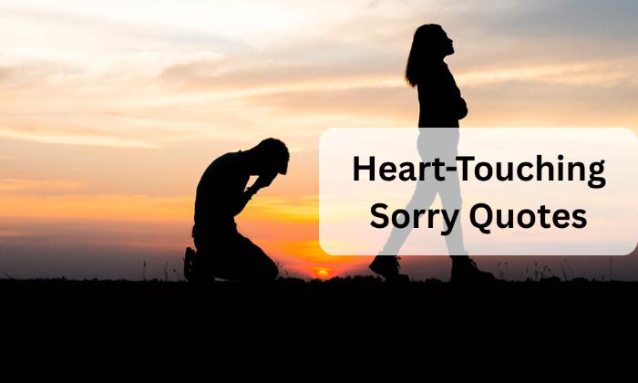 Heart touching sorry quotes
