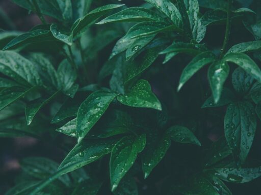 Rain hashtags for instagram