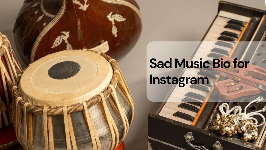 Musically Bio 110+ Aesthetic Music Bio For Instagram to Show Your Genre — Trending Us