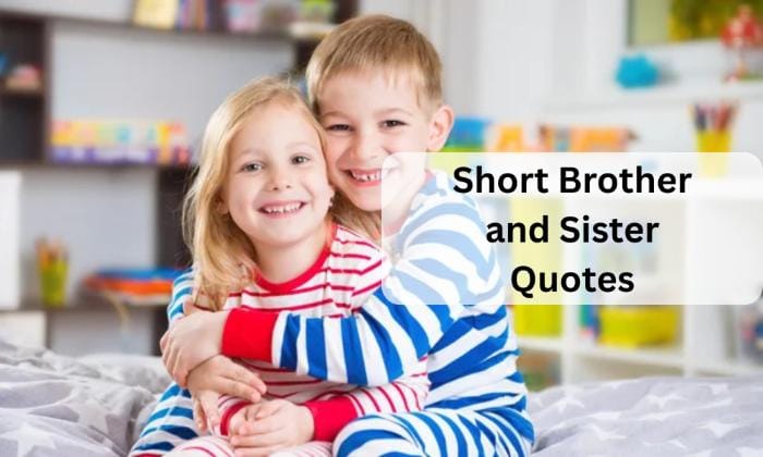 Short brother and sister quotes
