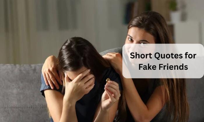 Short fake friends quotes