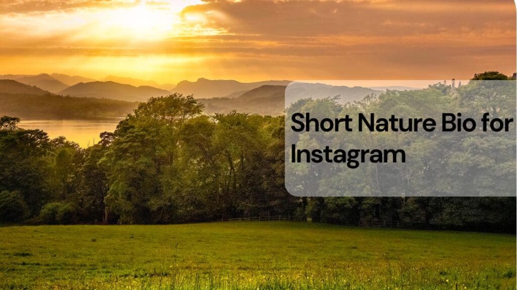 Short nature bio for instagram