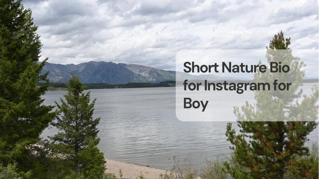 Short nature bio for instagram for boy