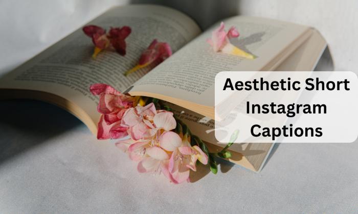 Aesthetic short instagram captions