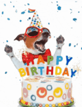 Animated birthday greetings 7