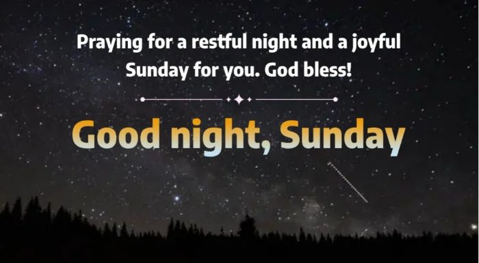 Beautiful sunday good night images1