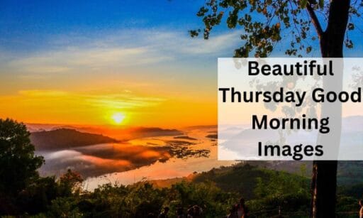Thursday Pretty 20+ Best Thursday Good Morning Images to Send — Trending Us