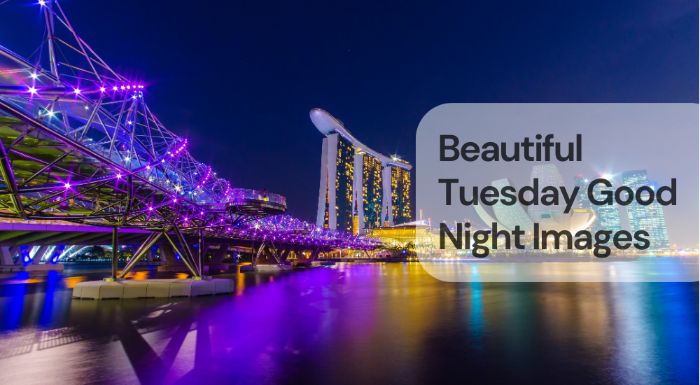 Beautiful tuesday good night images