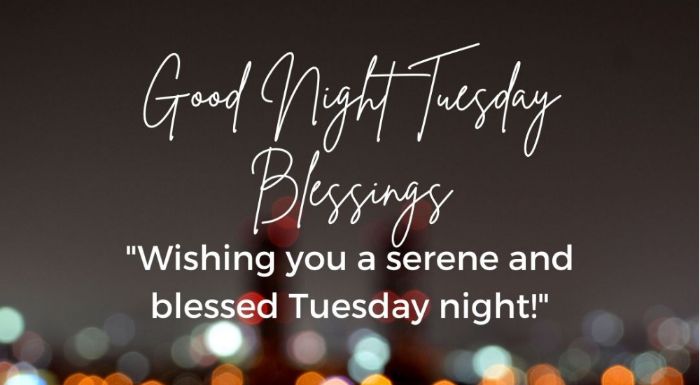 Beautiful tuesday good night images1
