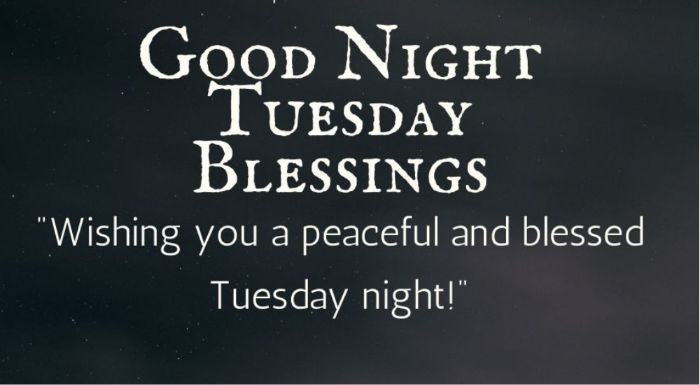 Beautiful tuesday good night images2