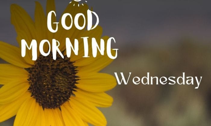 Beautiful wednesday good morning images1