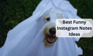 60+ Funny Instagram Notes Ideas to Get a Laughter — Trending Us