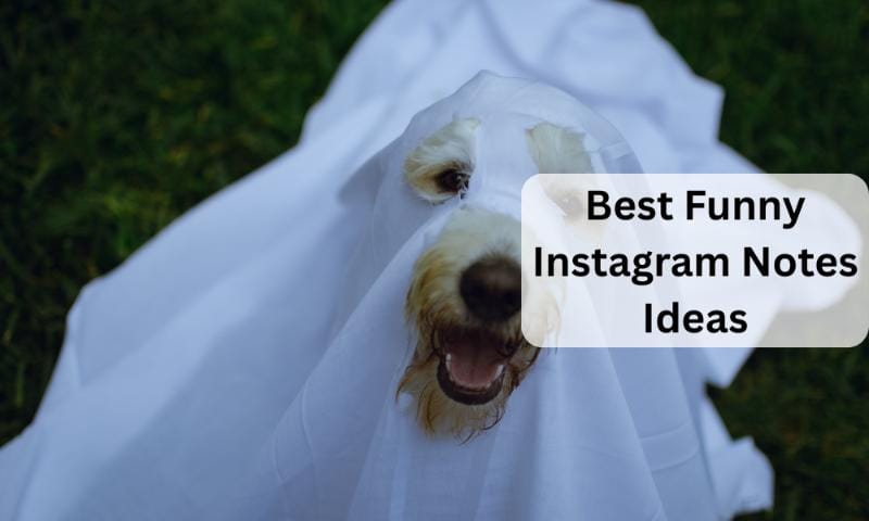 Best funny instagram notes ideas