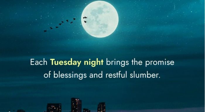 Best tuesday good night images2