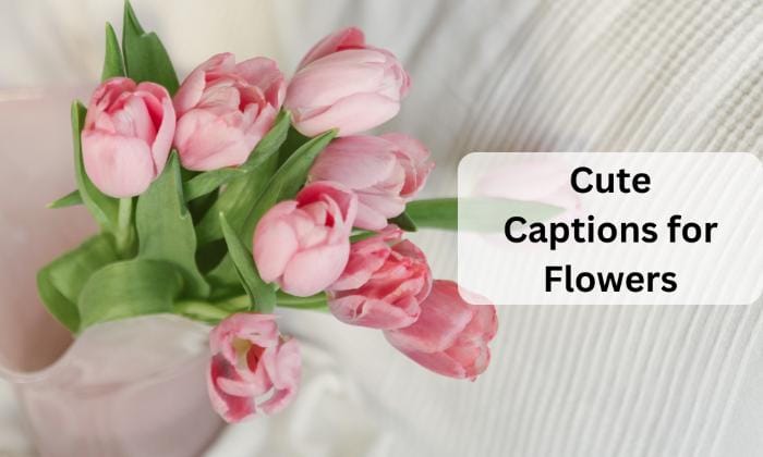 Cute captions for flowers