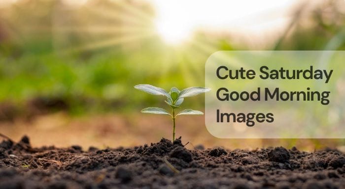 Cute saturday good morning images