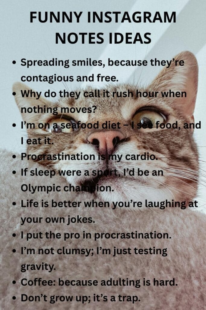 Funny instagram notes