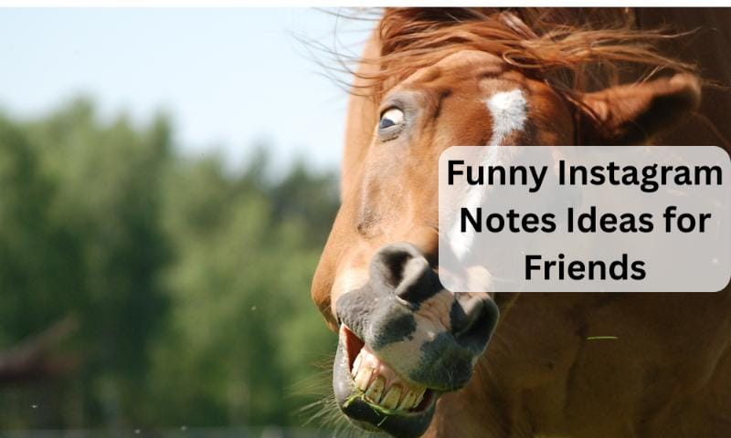 Funny instagram notes ideas for friends