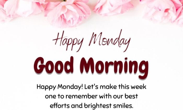 Funny monday good morning images 2