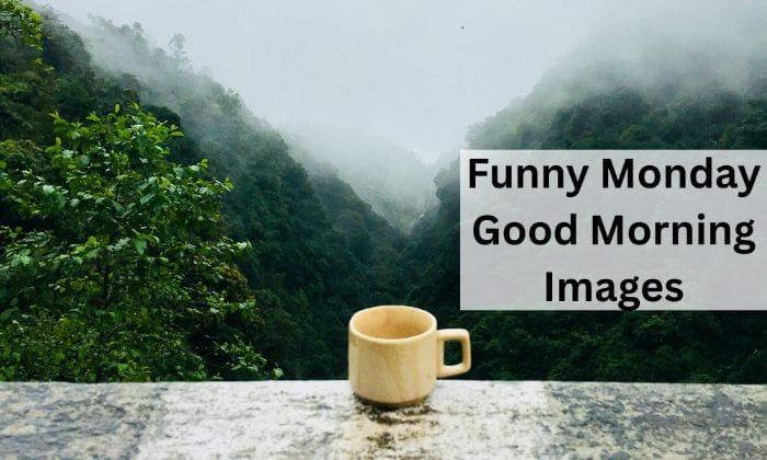 Funny monday good morning images