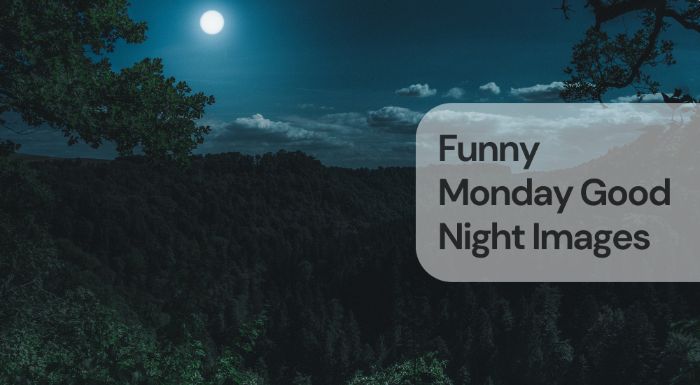 Funny monday good night images