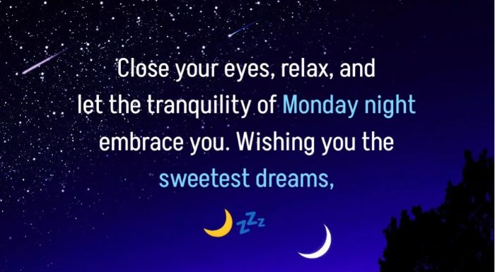 Funny monday good night images1