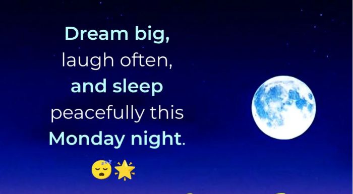 Funny monday good night images2