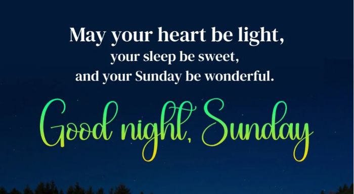 Funny sunday good night images1