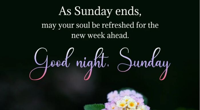 Funny sunday good night images2