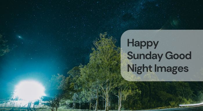 Happy sunday good night images