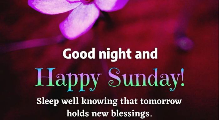 Happy sunday good night images2