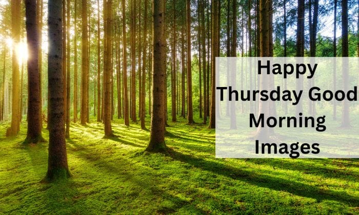 Happy thursday good morning images