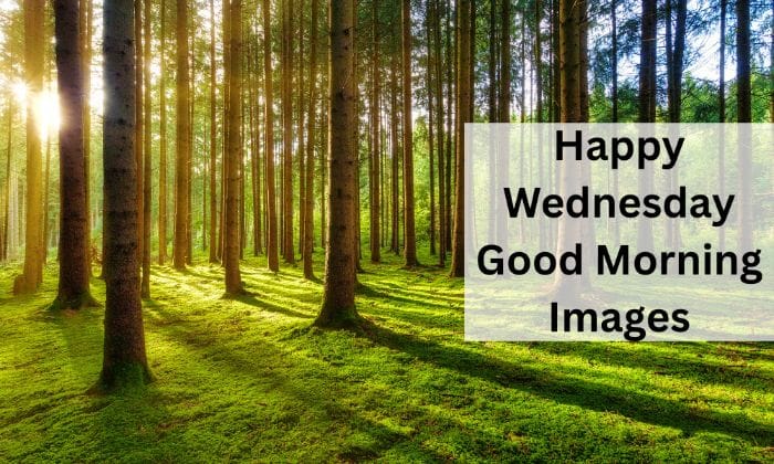 Happy wednesday good morning images
