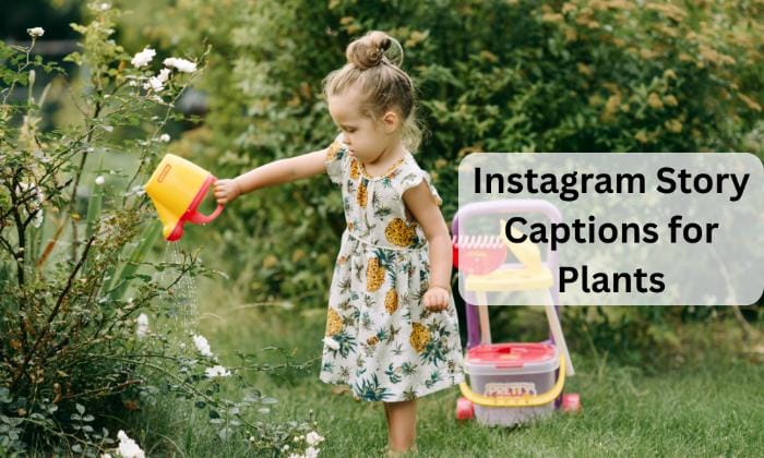 Instagram story captions for plants