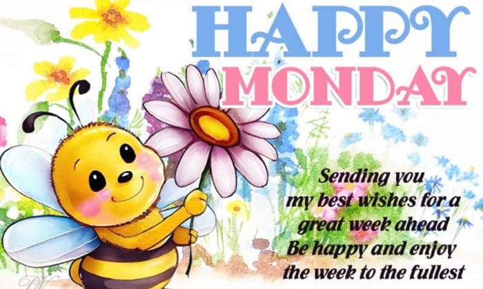 Monday good morning images for whatsapp2