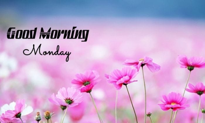 Special monday good morning images1
